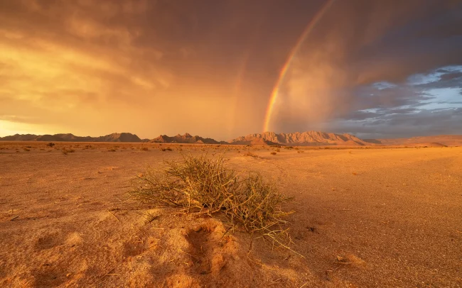 Einzigartige Lichtstimmung nach einem Gewitter in Sossusvlei mit Doppel Regenbogen