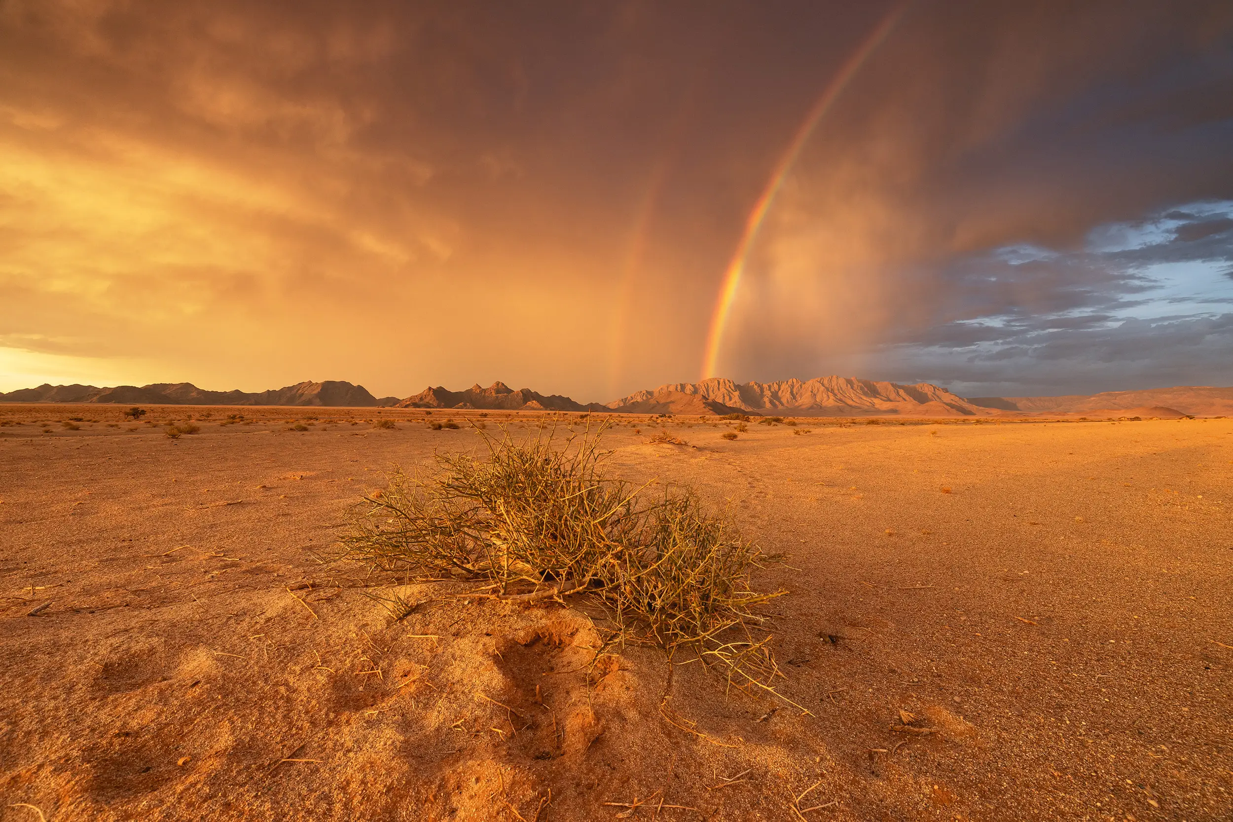 Einzigartige Lichtstimmung nach einem Gewitter in Sossusvlei mit Doppel Regenbogen